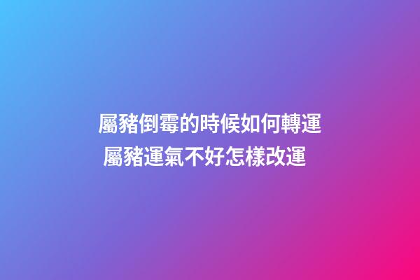 屬豬倒霉的時候如何轉運 屬豬運氣不好怎樣改運-第1張-觀點-玄機派